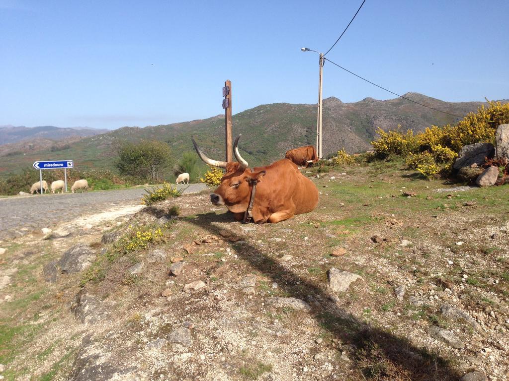 Cantinho Redondo Gerês Entre Ambos os Rios Extérieur photo