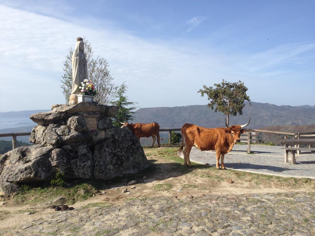 Cantinho Redondo Gerês Entre Ambos os Rios Extérieur photo